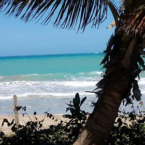 https://ivbb-beach-studio.sanjuanpuertorico-hotels.com